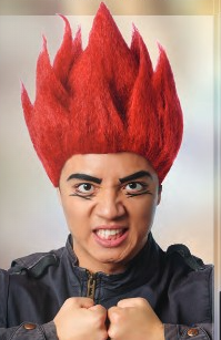 Red Riot Wig
