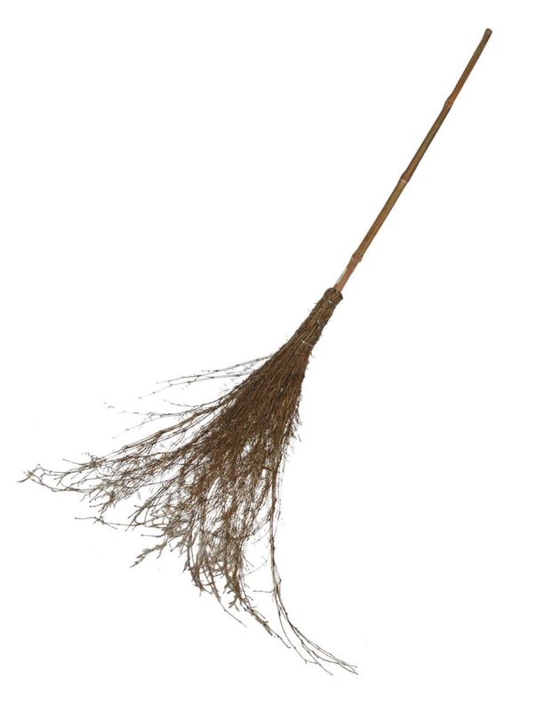 Witch's Broom