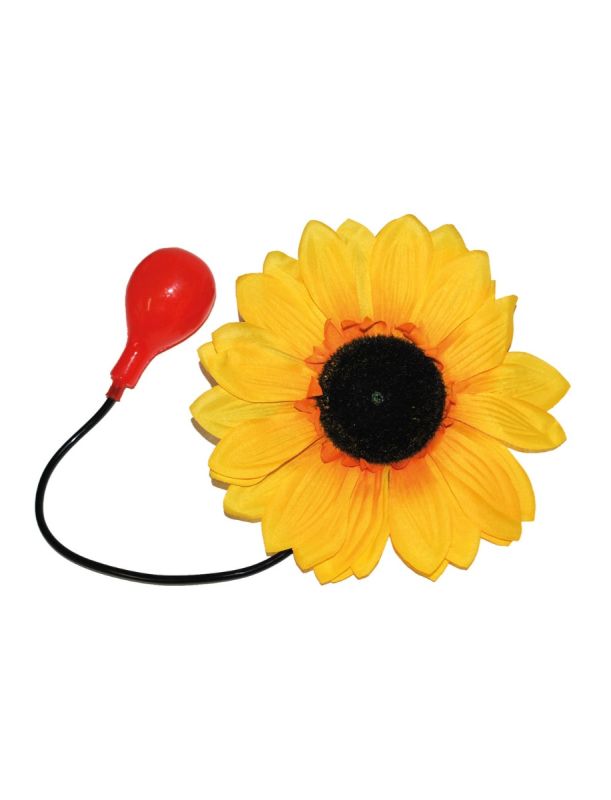 Squirting Flower