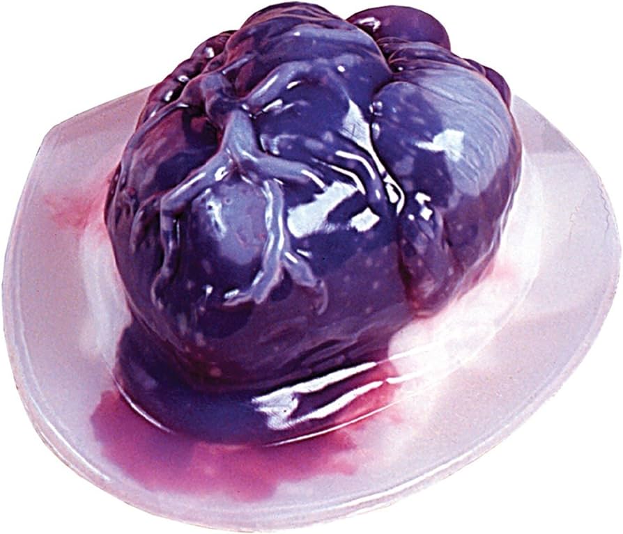 Human Heart Gelatin Mold