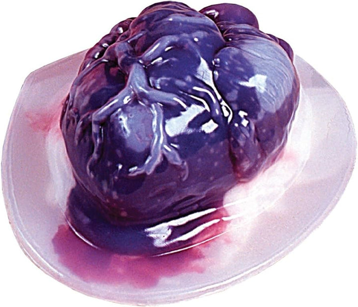 Human Heart Gelatin Mold