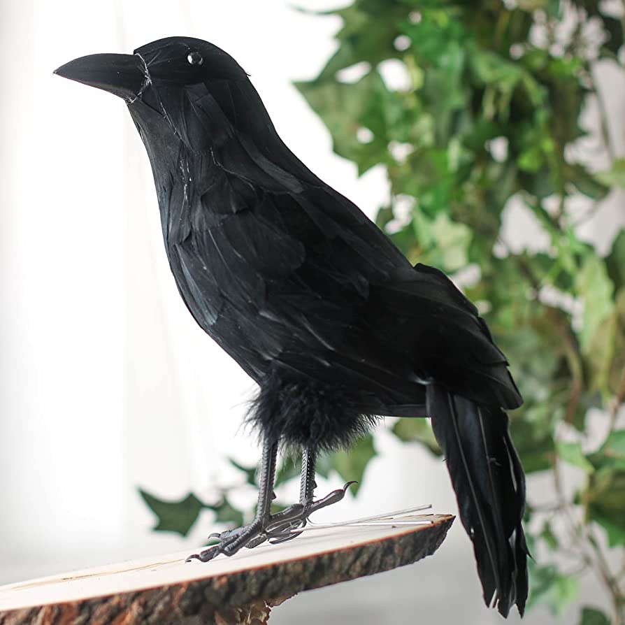 9" Black Crow Prop