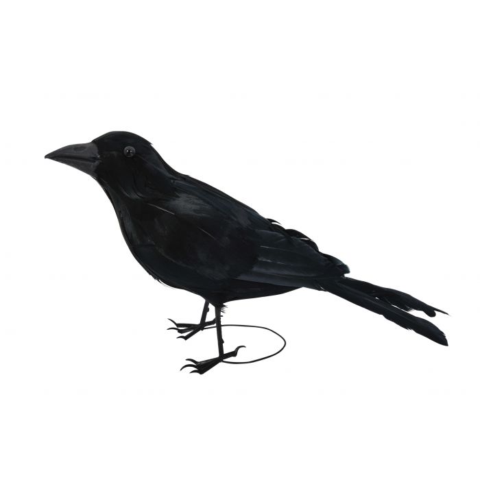 Black Raven w/Feathers