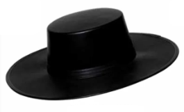 Flat Brim Hat