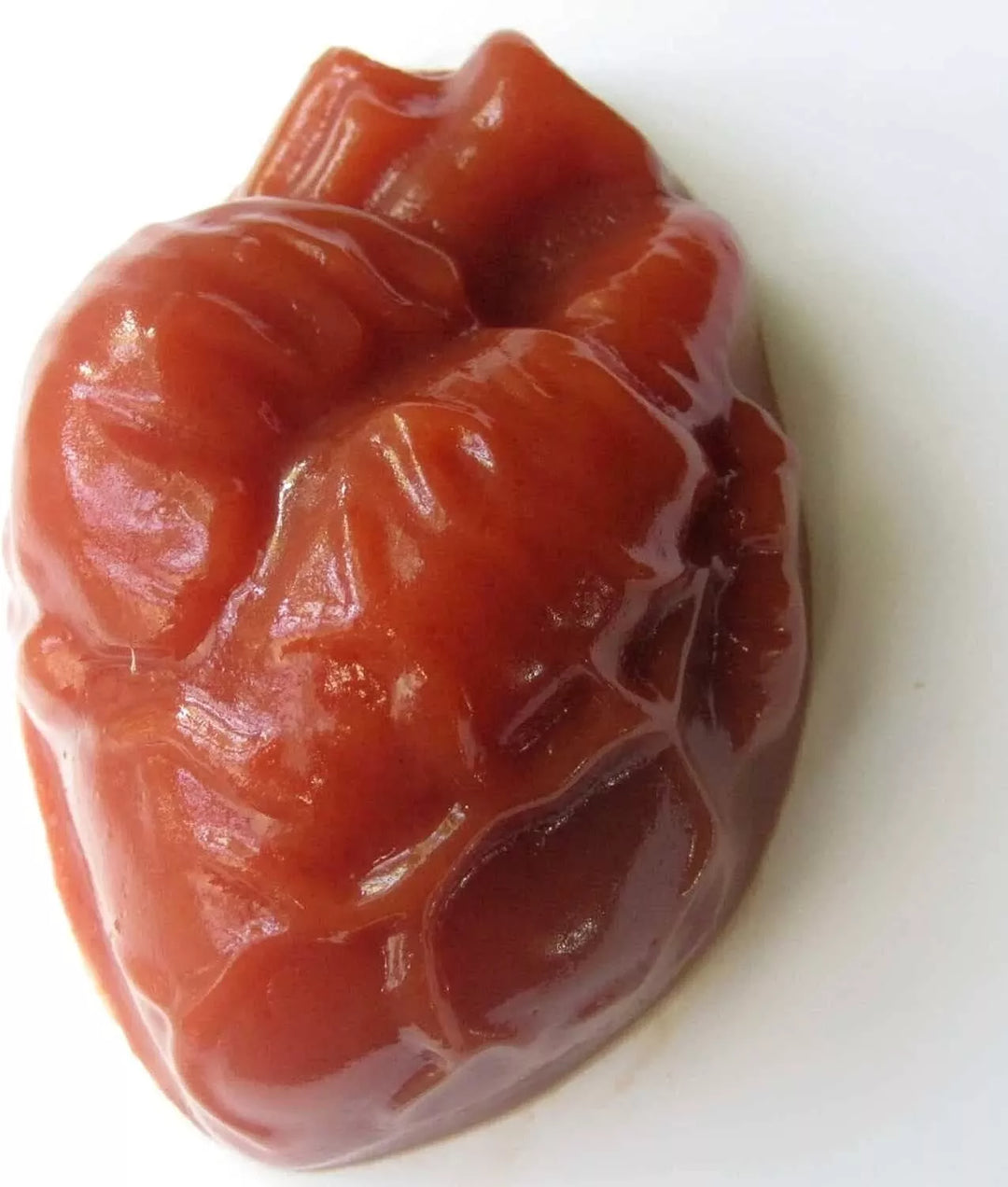 Human Heart Gelatin Mold