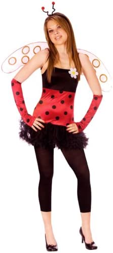 Lovely Ladybug Costume
