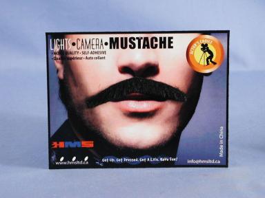Monsieur Moustache