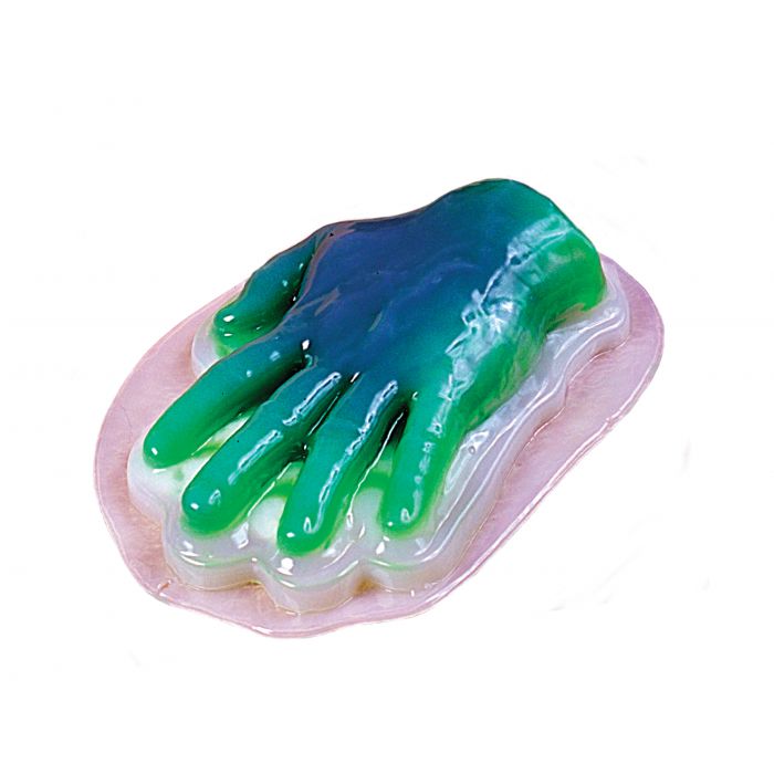 Gelatin Hand Mold