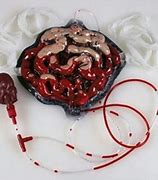 Zombie Bleeding Intestines
