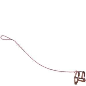 Invisible Dog Leash