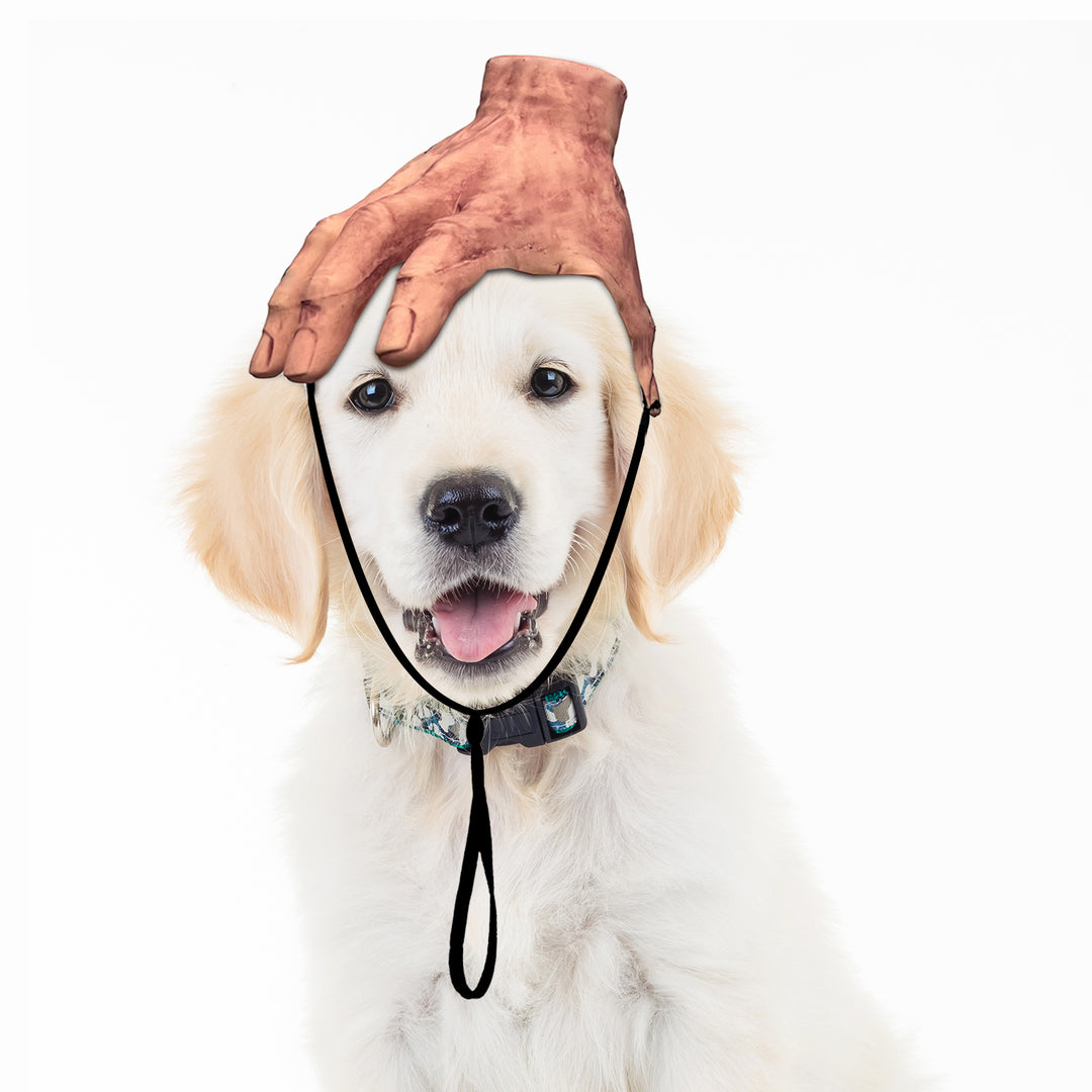 Cuzin Ruff Hat - Cut off hand Small - Attachable