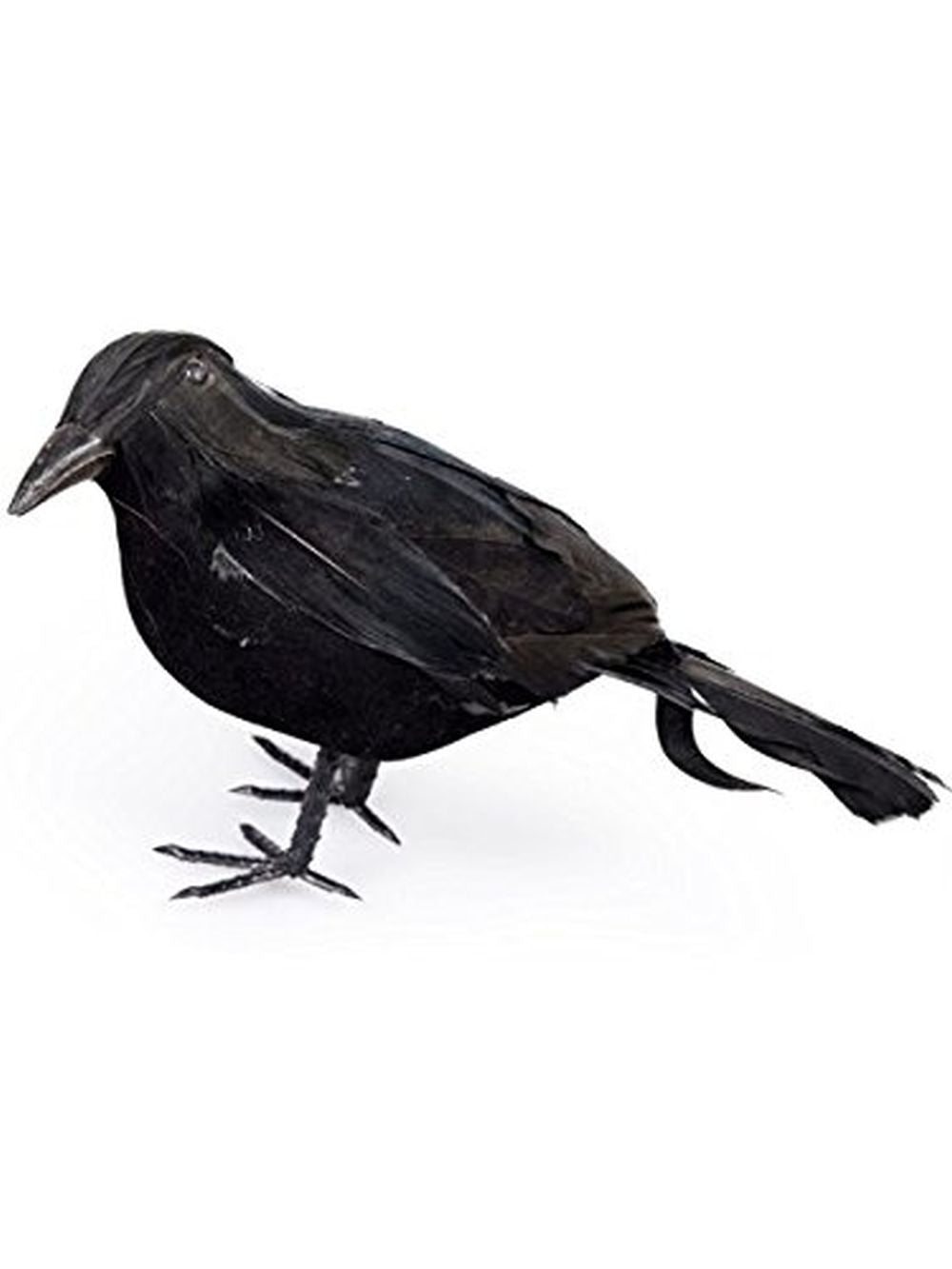 Feathered Raven Prop