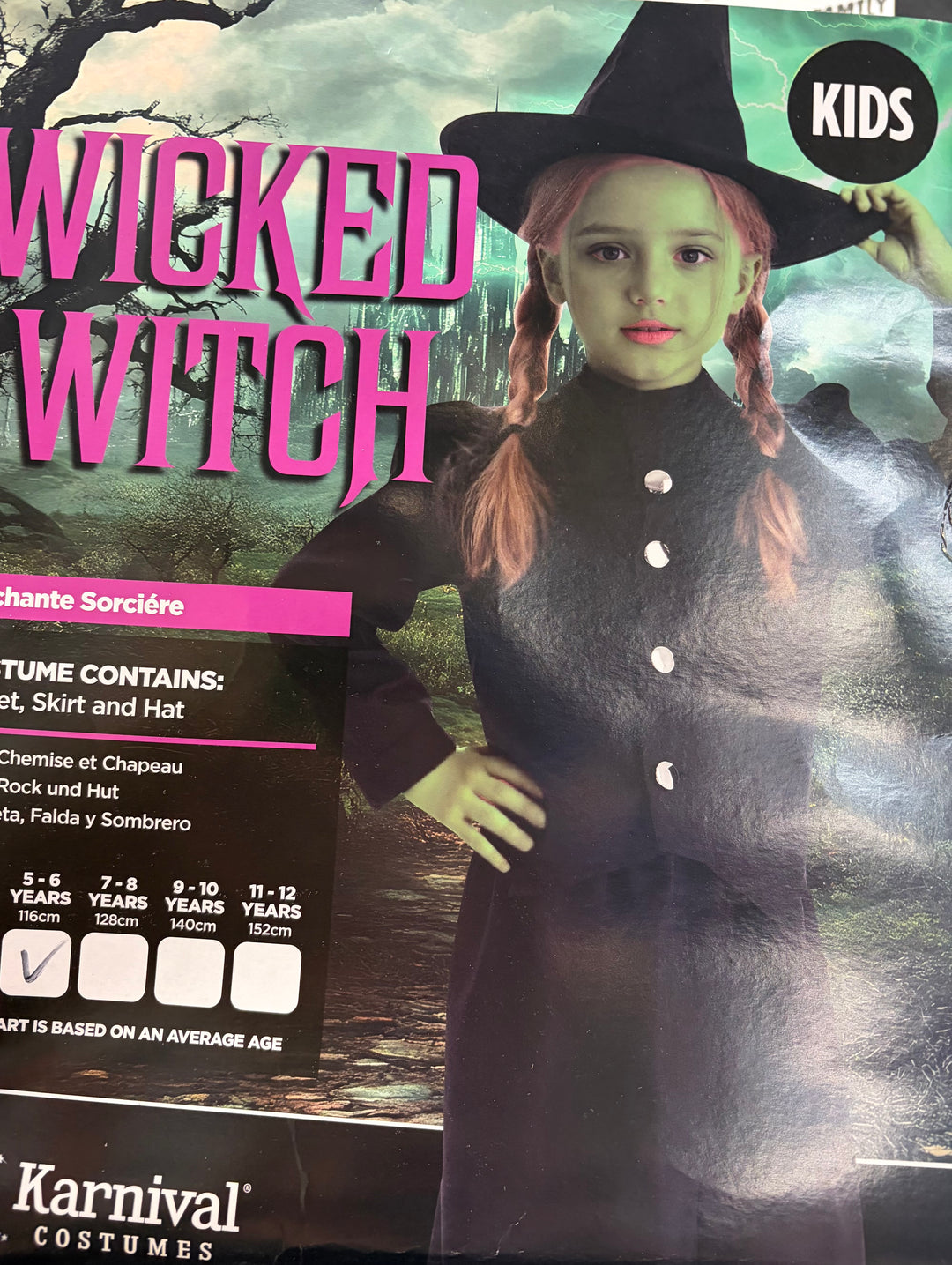 Storytime Evil Wicked Witch Costume - Child
