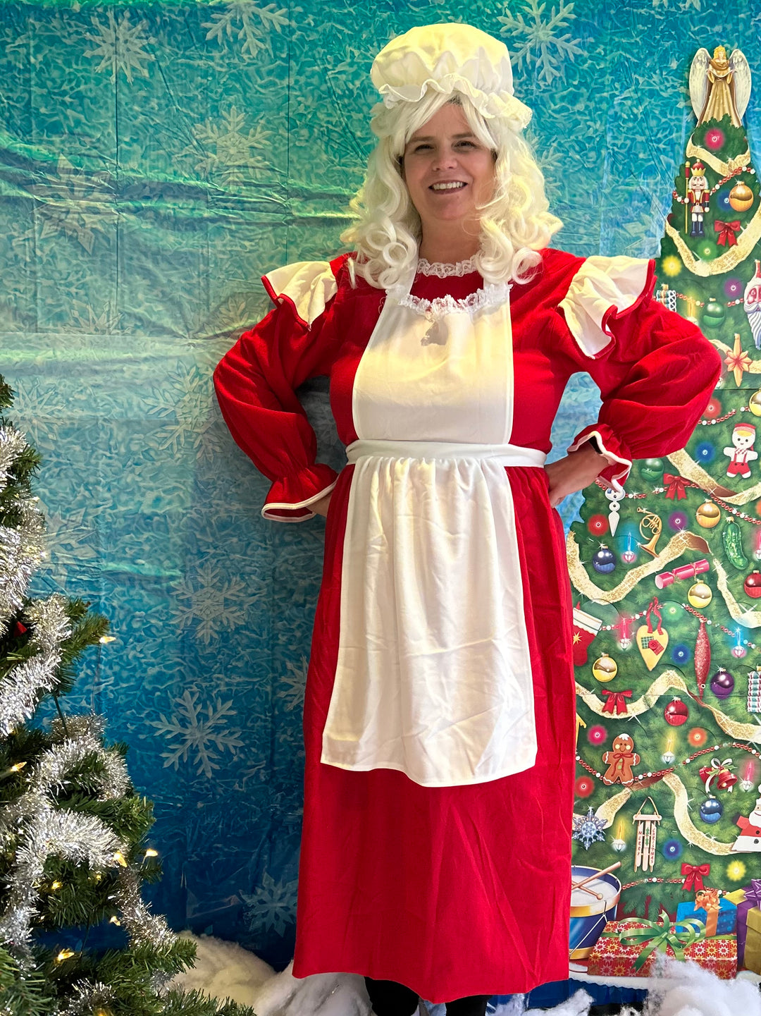 Promotional Mrs Claus Costume