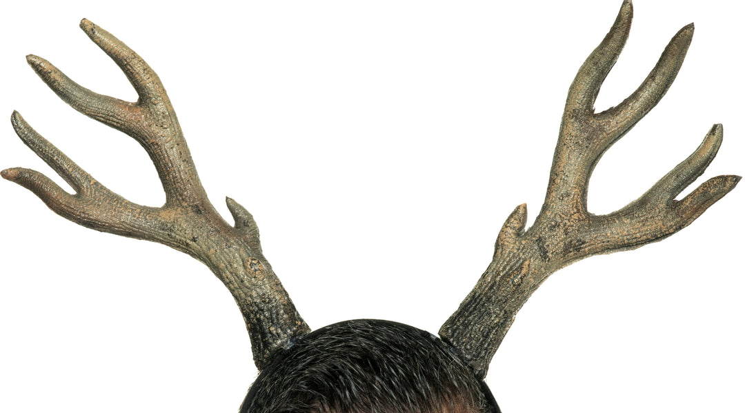 Deer Antlers
