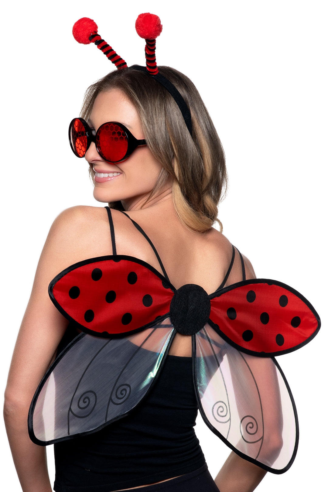 Lady Bug Accessory Kit