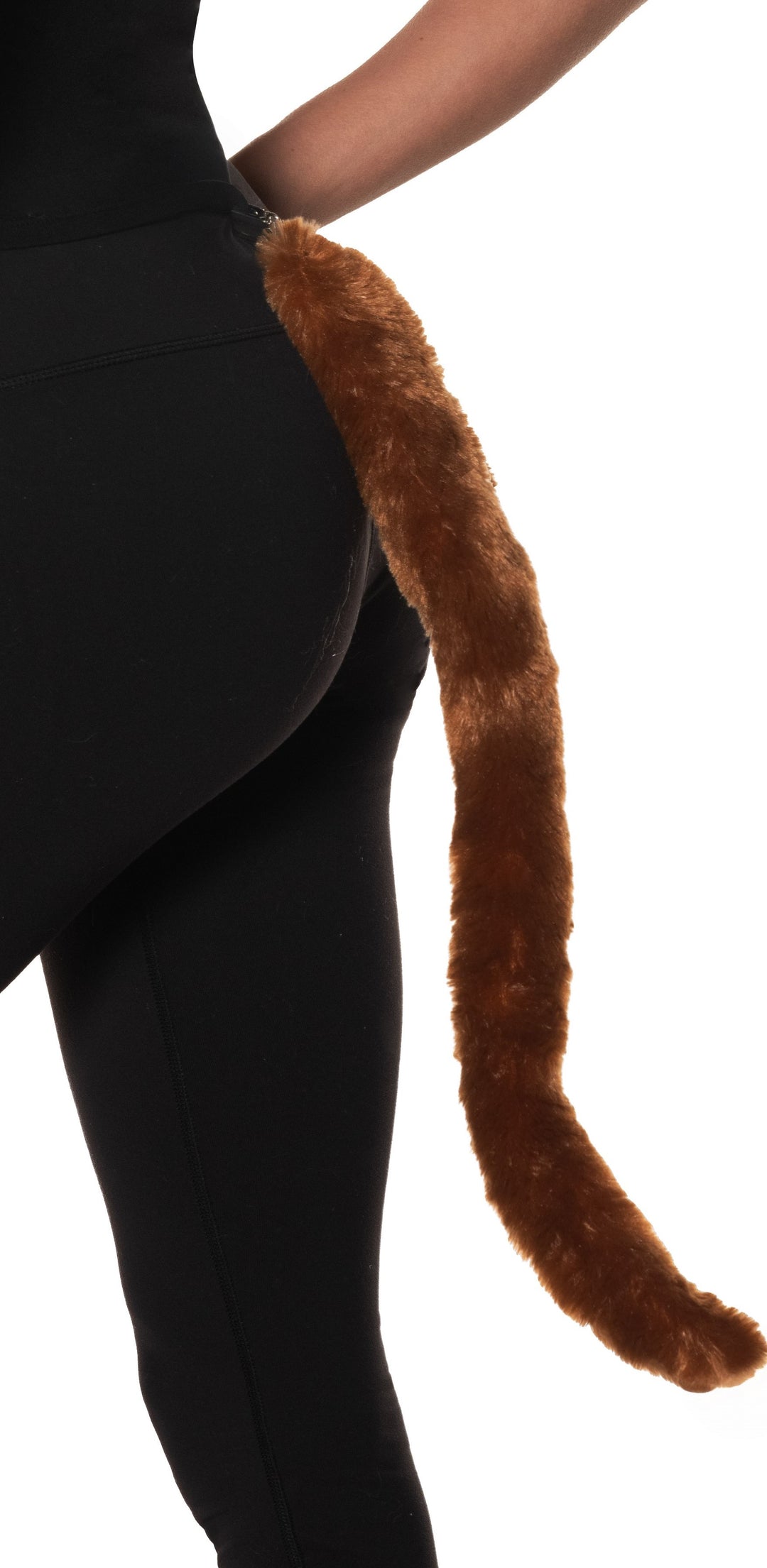 Brown Tail