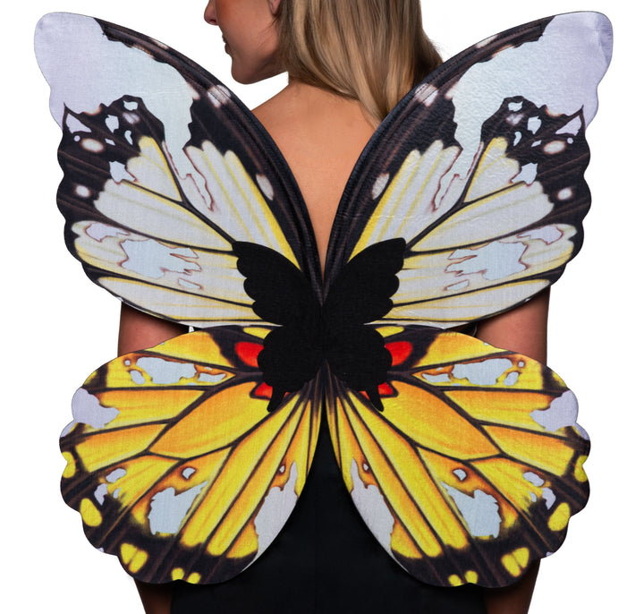 Butterfly Wings