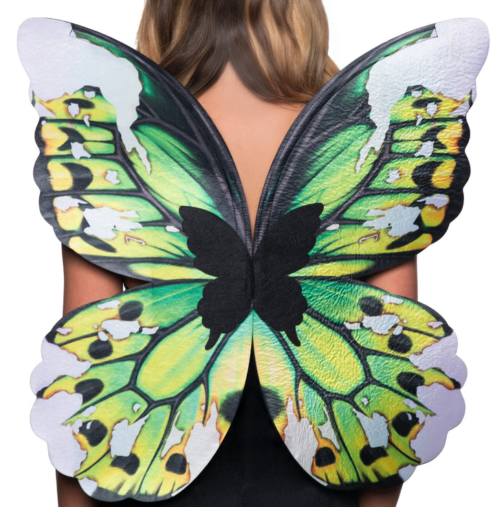 Butterfly Wings