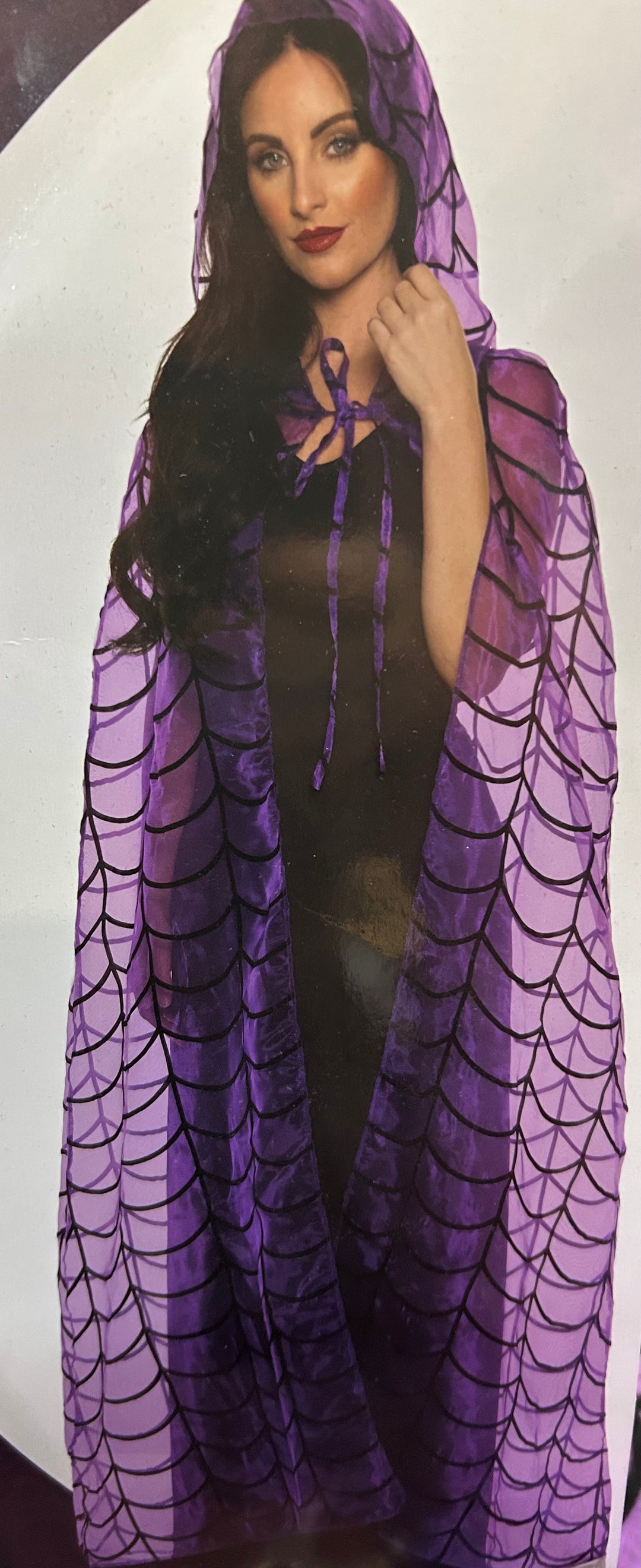 Spider Web Hooded Sheer Cape