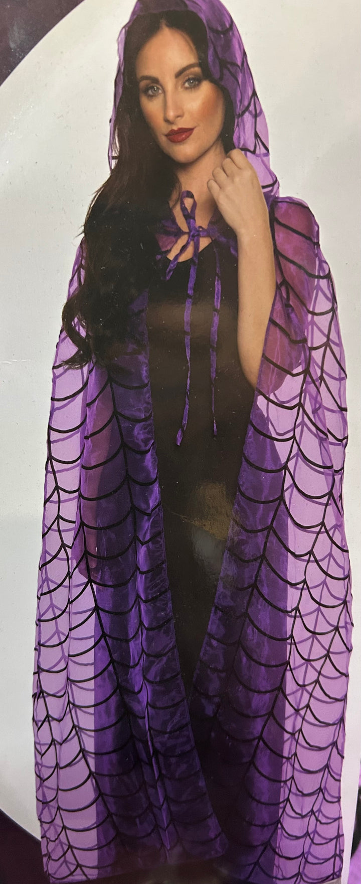 Spider Web Hooded Sheer Cape