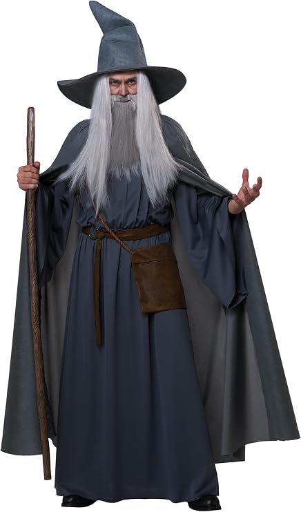 Wandering Wizard Adult Costume - Gray