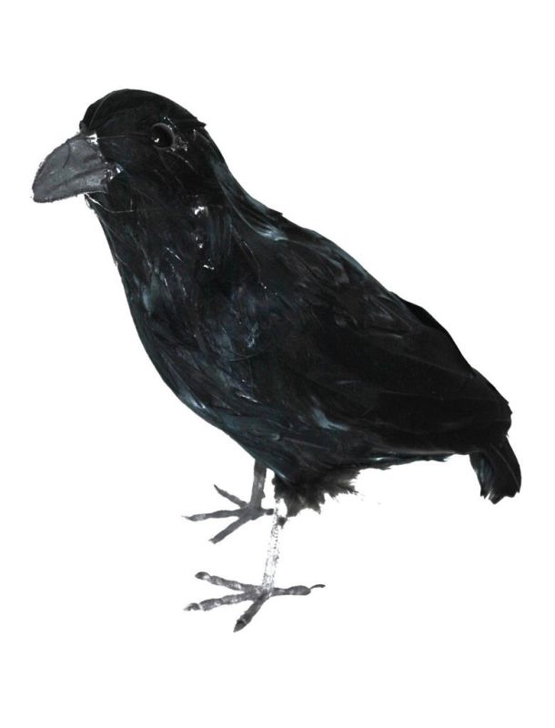 Feathered 12" Crow Prop