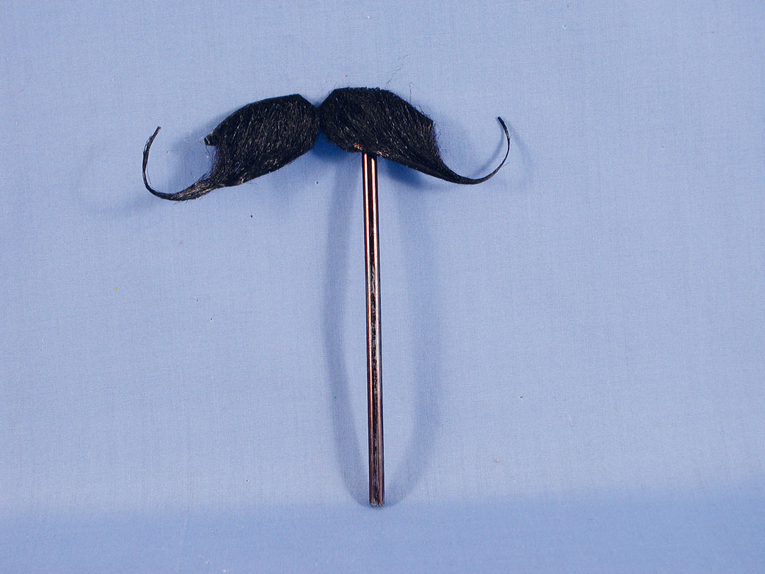 Stache on a Stick - Aristocrat