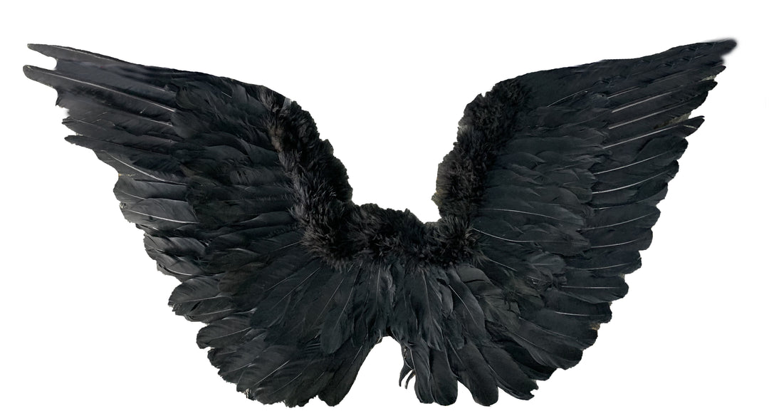 Feather Upswept Wings White 30 x 18