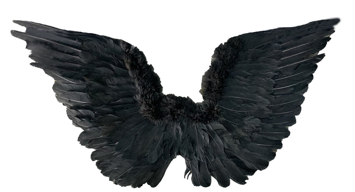 Feather Upswept Wings White 30 x 18