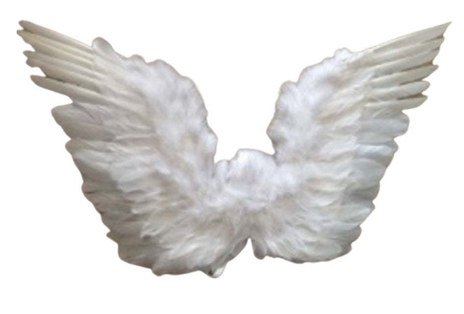 Feather Upswept Wings White 30 x 18
