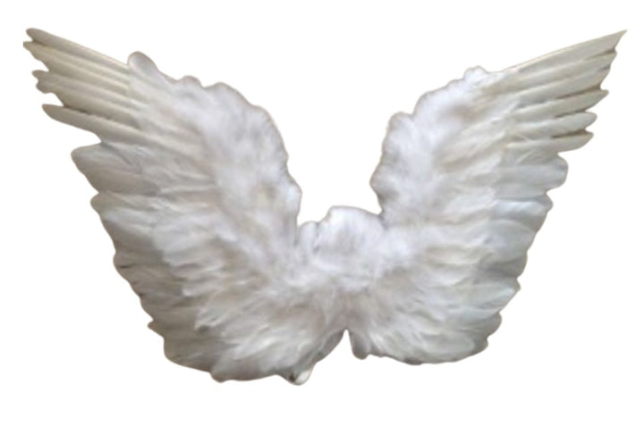 Feather Upswept Wings White 30 x 18
