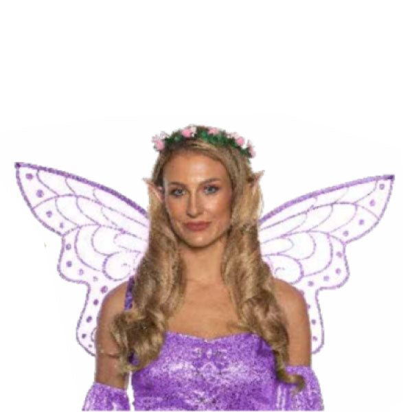 Fairy Accessory Kit