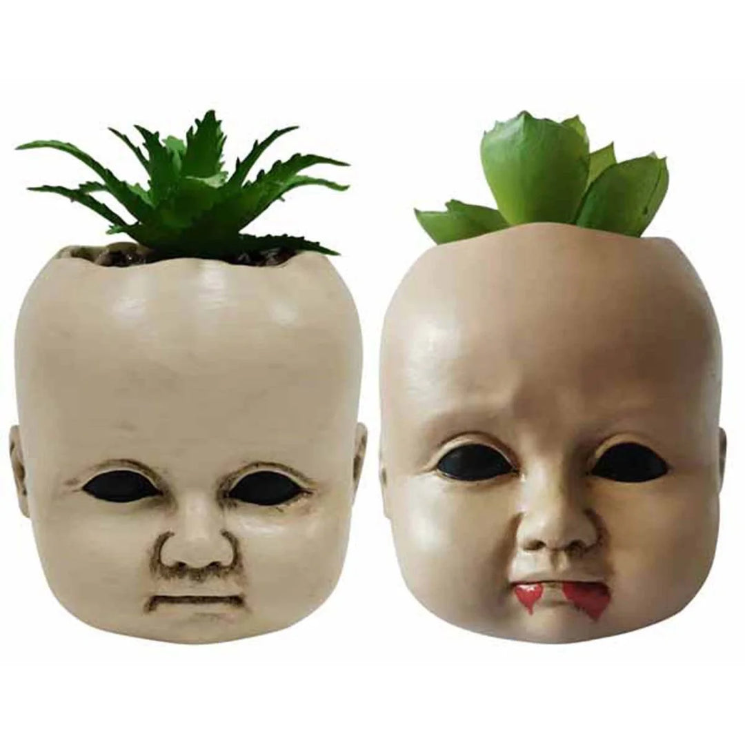 Creepy Doll Succulent