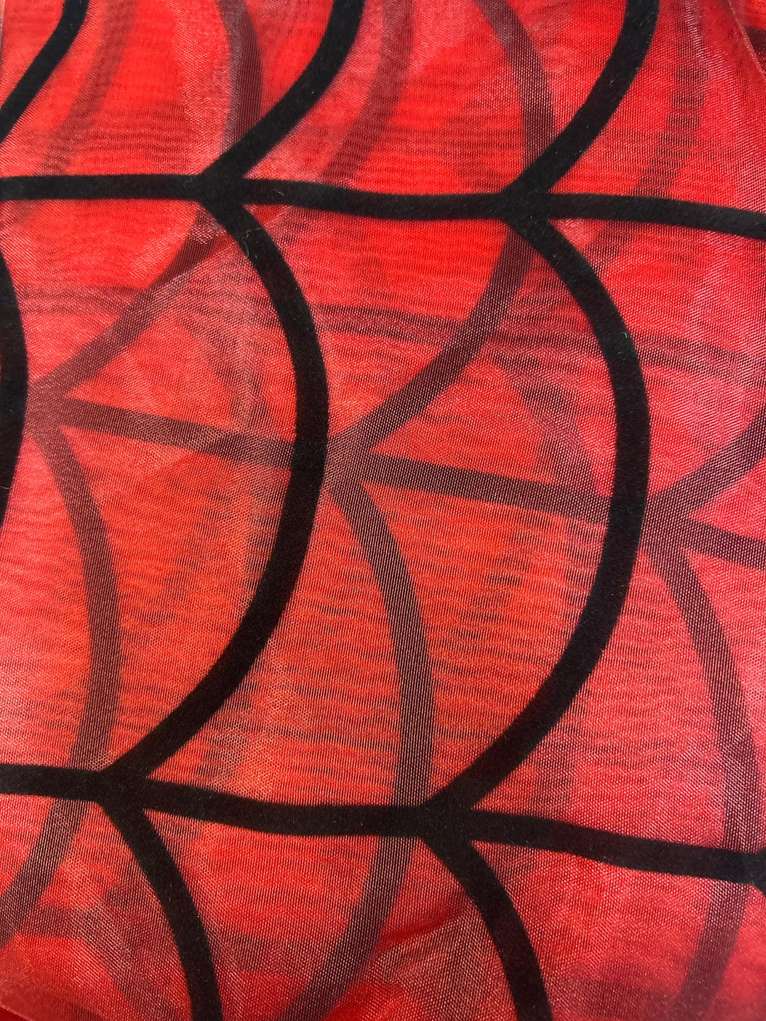 Spider Web Hooded Sheer Cape