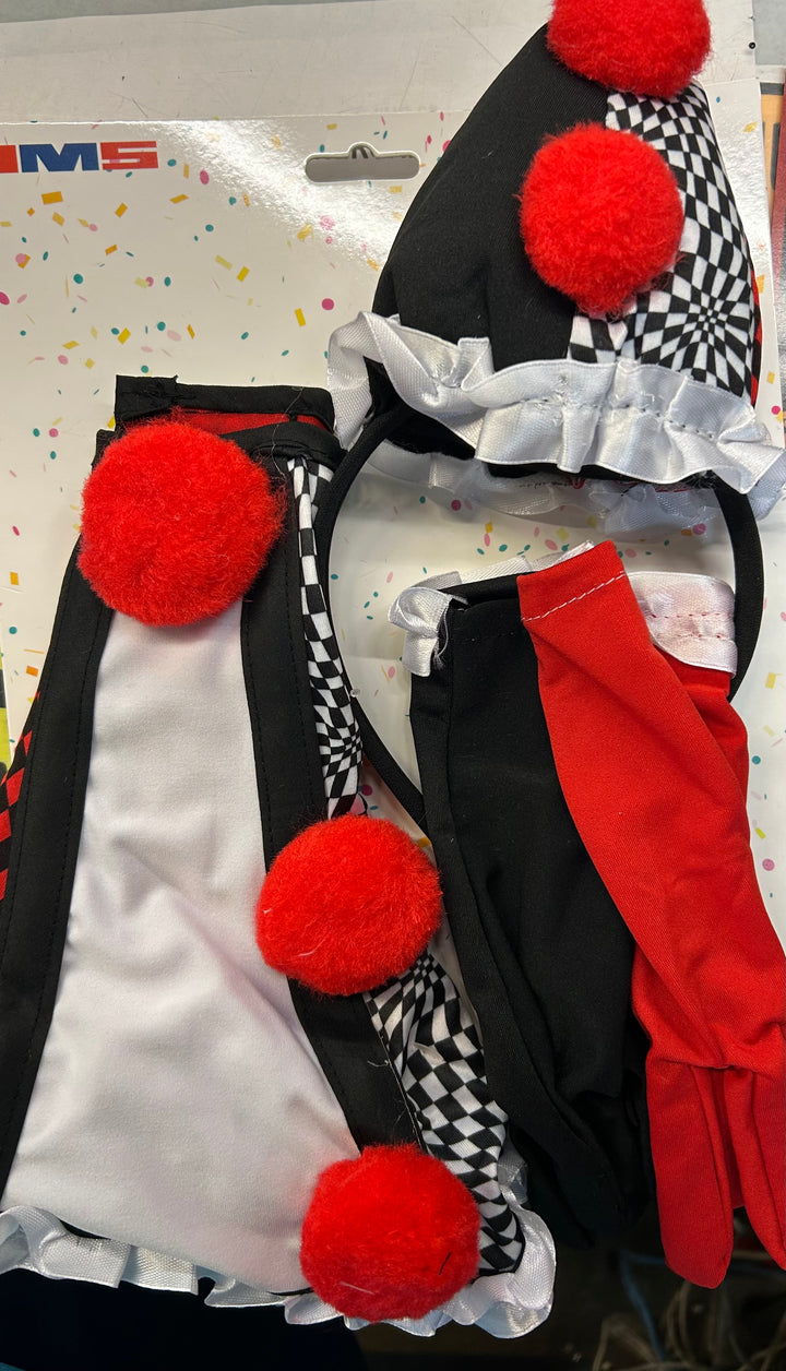 Crazy Circus Clown Kit