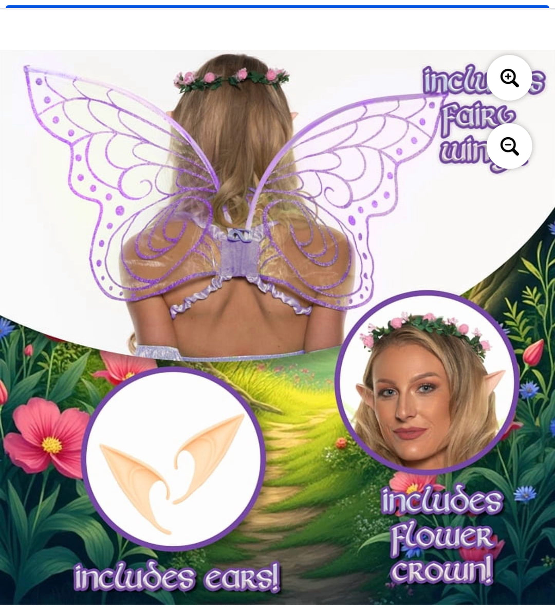 Fairy Accessory Kit