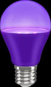 6" LED Blacklight Bulb