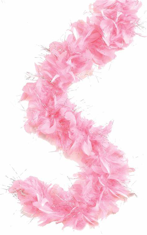 4 Ft Pink Boa