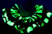 Blacklight Reactive Ruffled Clown Collar