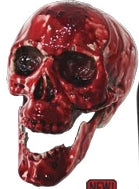 Bloody Skull Prop - 6.3"