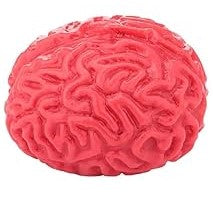 Brain Splat Ball – Caufield's Novelty