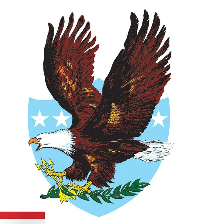 Bald Eagle Cut Out