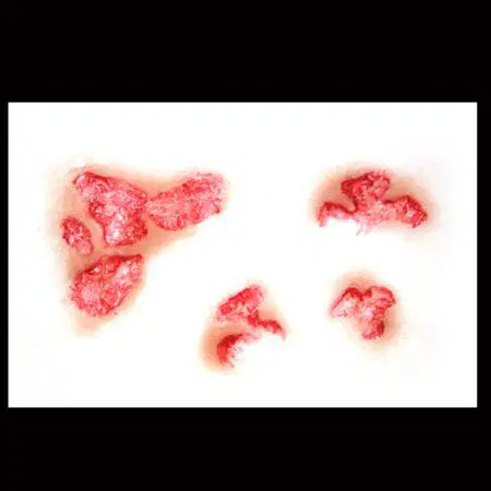 Tinsley Transfers 3D FX - Burned Flesh