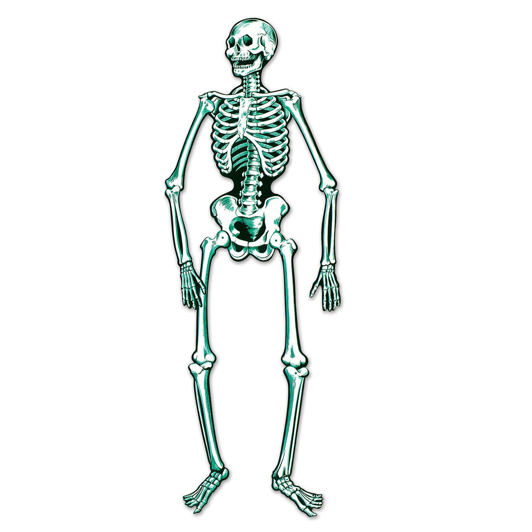 Jointed Skeleton 55"