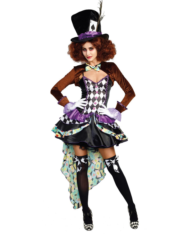 Hatter Madness Adult Costume