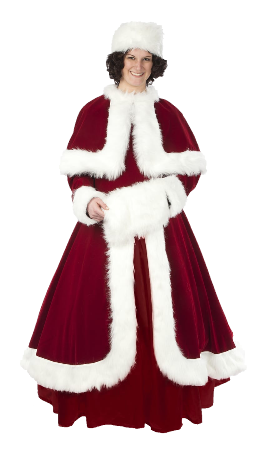 Belle of the Christmas Ball Costume