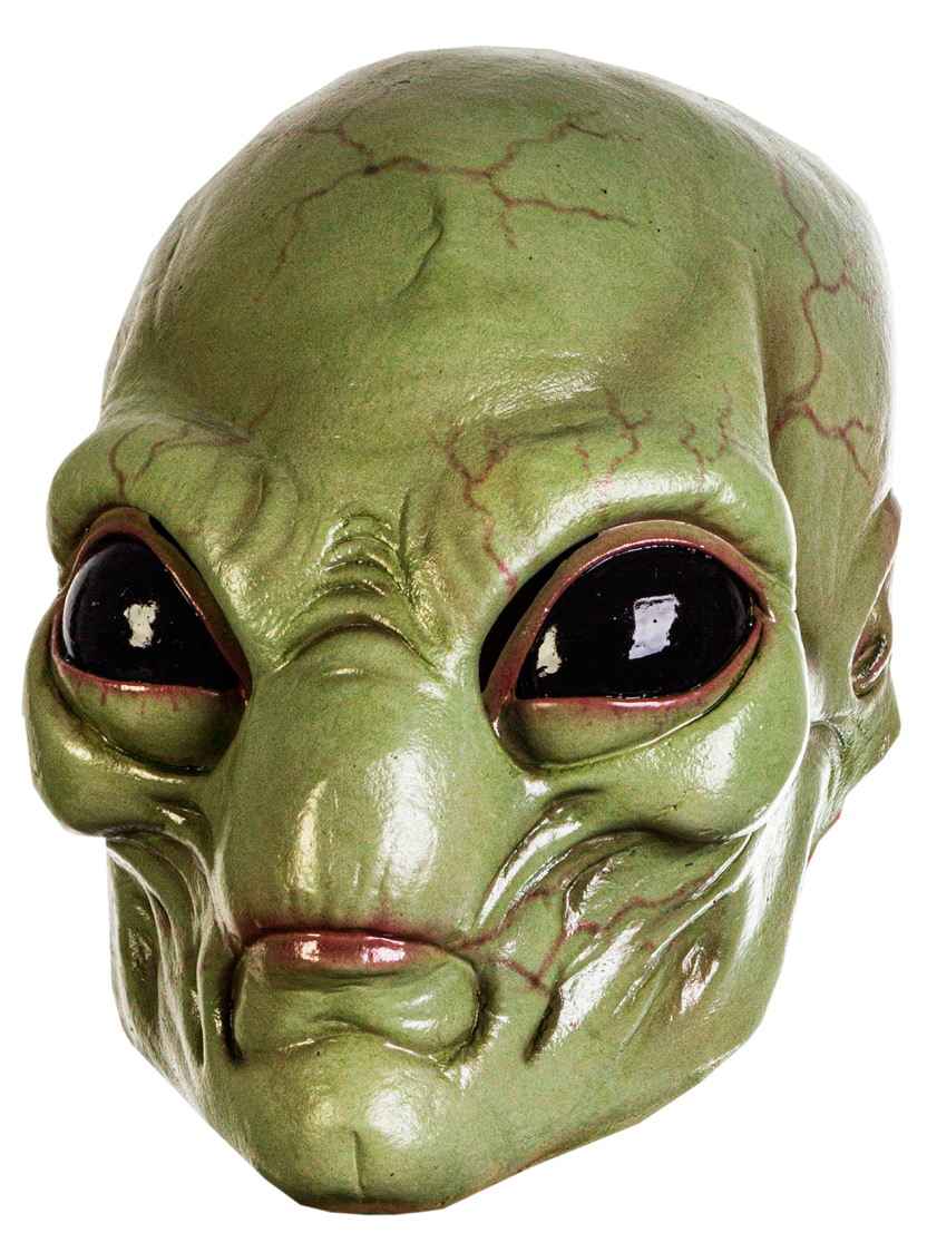 Green Visitor Mask