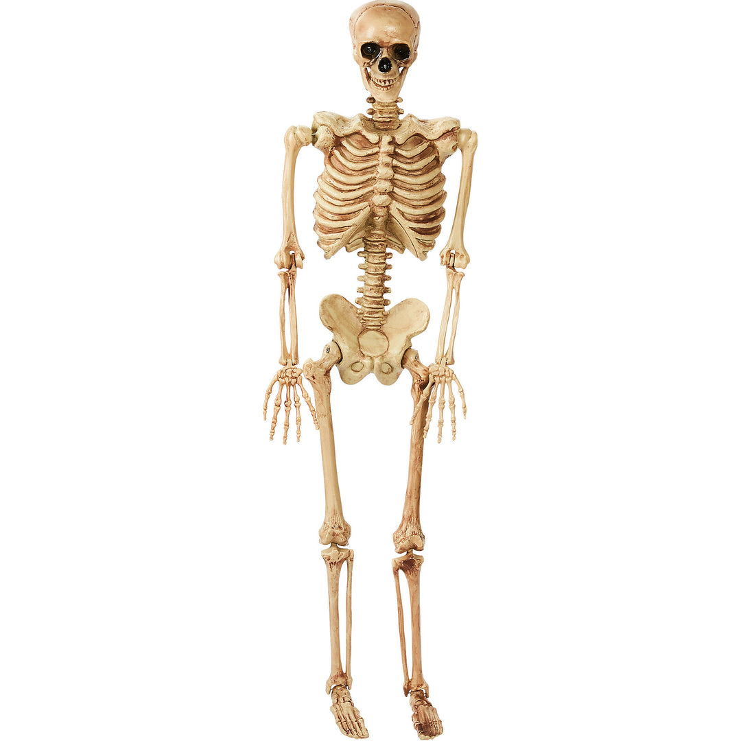 Deluxe 5ft. Poseable Skeleton