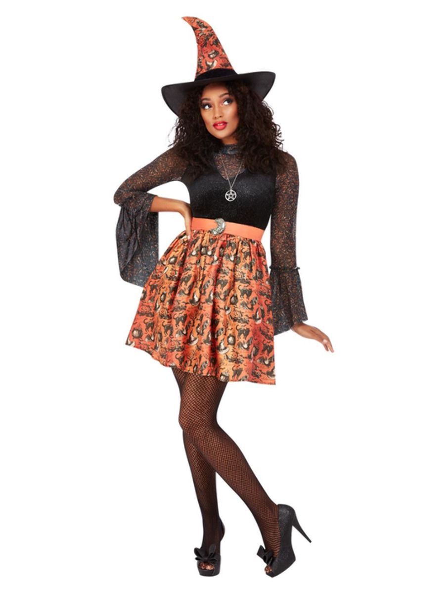 Vintage Witch Costume Adult
